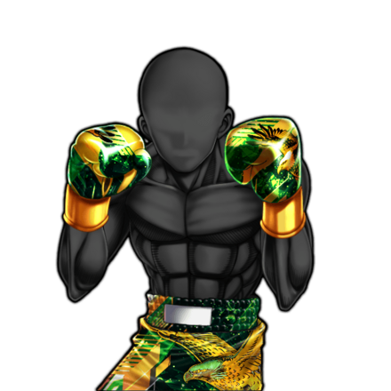 翠霊鷹のボクサーウェア ★13の画像