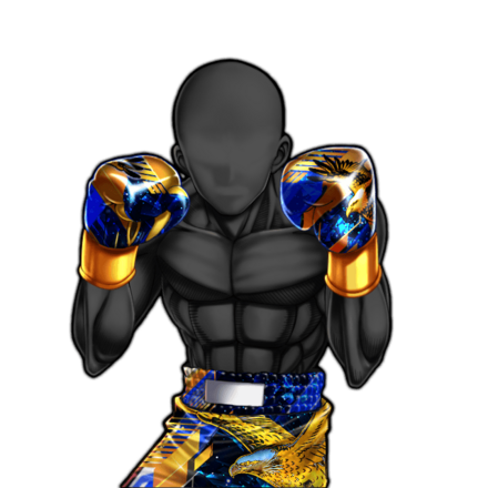 蒼霊鷹のボクサーウェア ★13の画像