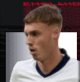 HPコールパーマー(05/29)画像