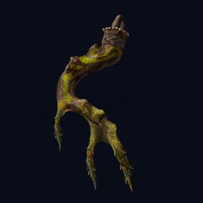 免疫の角飾り画像