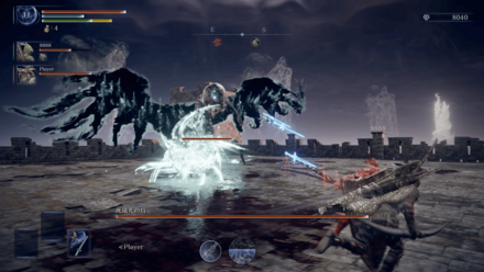 中央の城にいる死儀礼の鳥