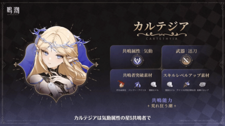 カルテジアの素材