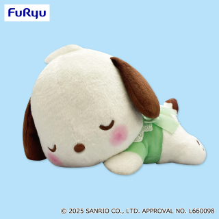 ポチャッコ いっしょにねんね　大きなBIGぬいぐるみ Amazon.co.jp: ポチャッコ いっしょにねんね大きなBIGぬいぐるみ
