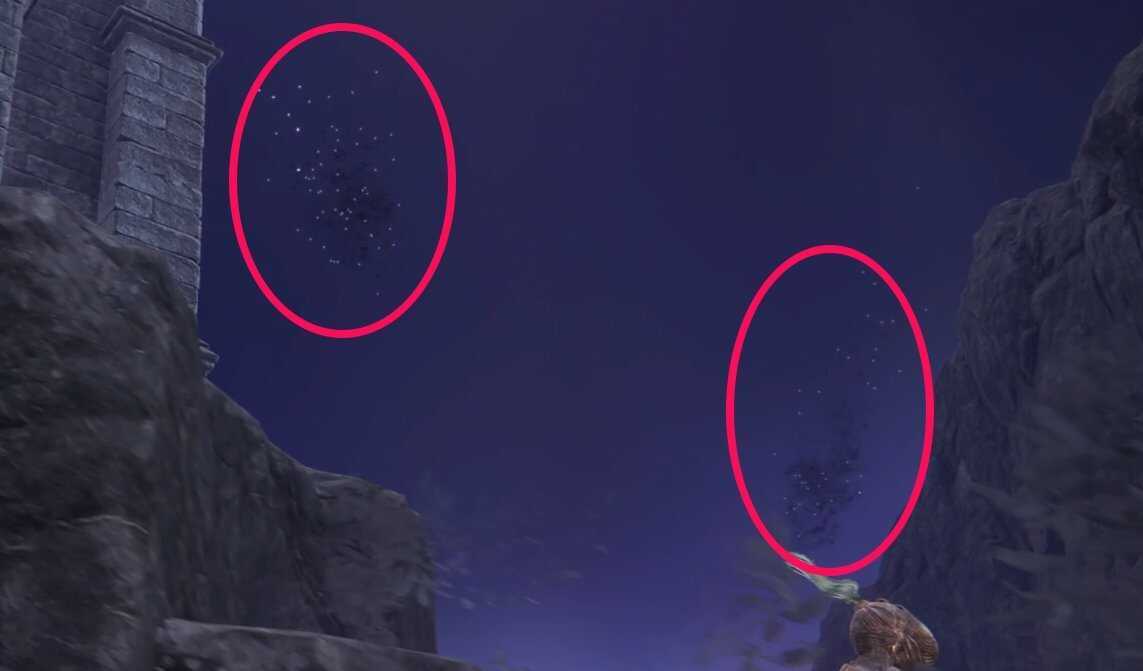 虫を追いかける