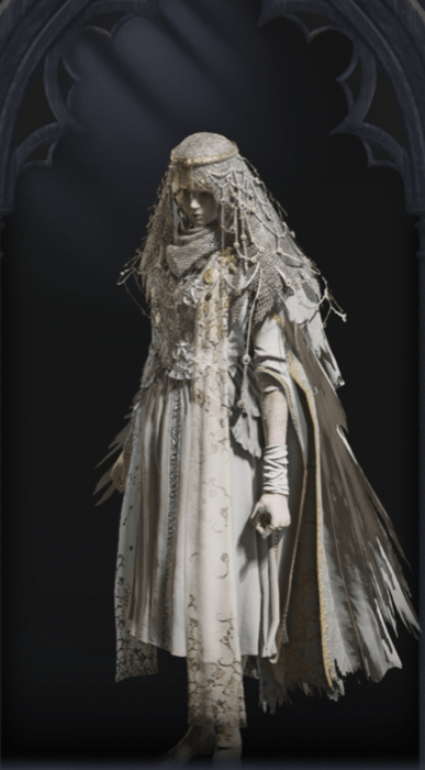 復讐者の黎明衣装