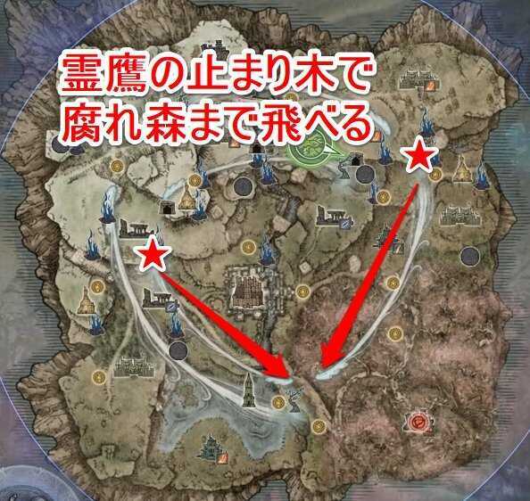 腐れ森鷹マップ