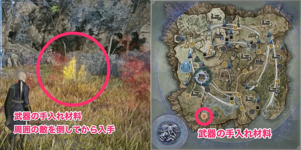 レディのジャーナル3で武器の手入れ材料を探す