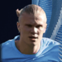 HPアーリングハーランド(06/02)画像