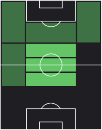 HPマリオ・パシャリッチ(06/02)の適性ポジション