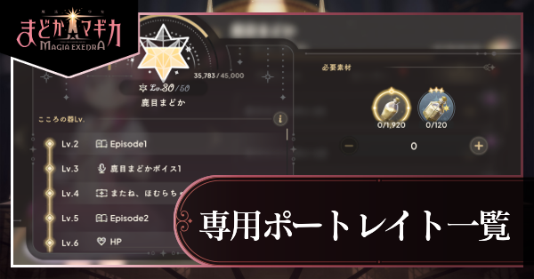 専用ポートレイト