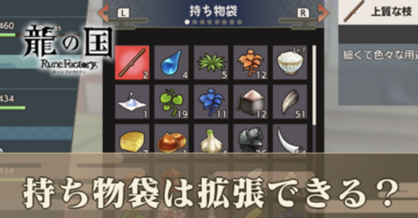 龍の国ルーンファクトリー】持ち物袋は拡張できる？【龍ファク