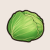 キャベツ画像
