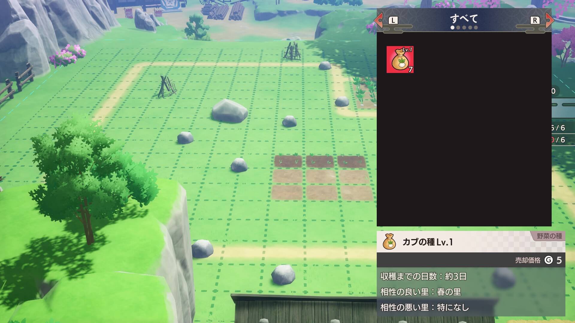 カブの種をまく