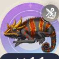 ダスクカメレオンの画像