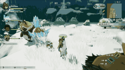 カレイの煮つけ画像