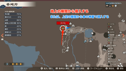 カブの紅白漬け画像