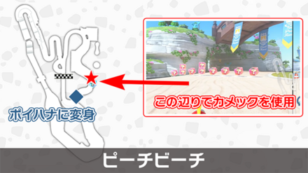 ポイハナ解放画像