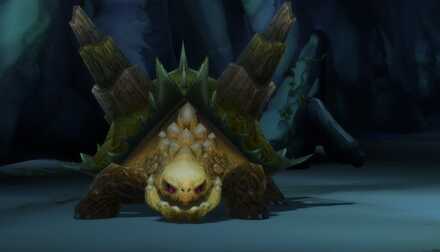 ランドタートル