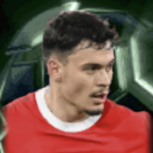 HPファビアンリーダー(06/09)画像