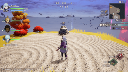 チョコ大福画像