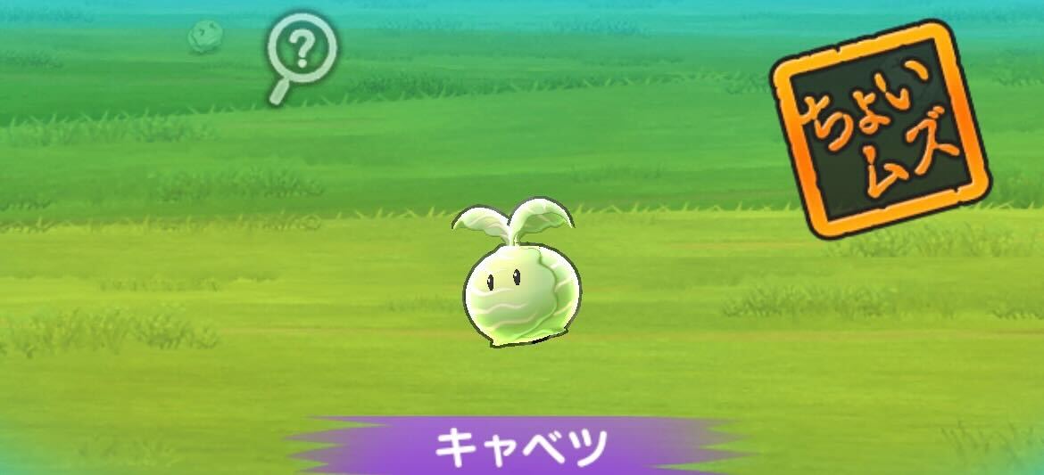 キャベツ攻略方法