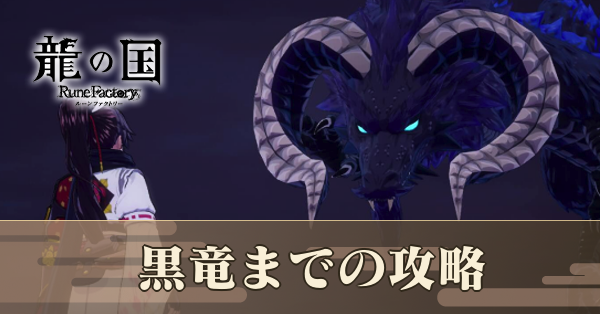 黒竜までの攻略