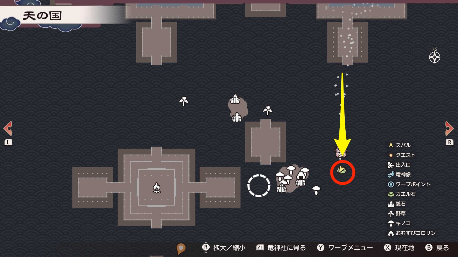 南の見えない床を進み、カエル石を回収