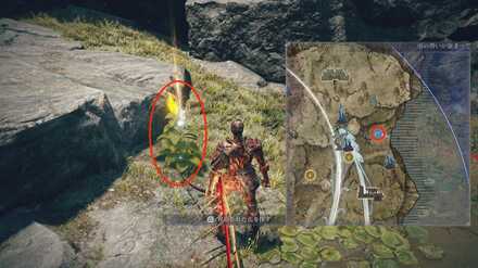 祝福された花の場所