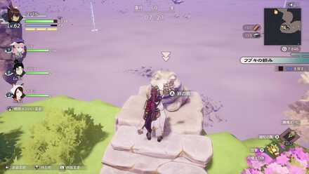 道中のカエル石