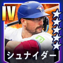 シュナイダー画像