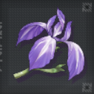 バンブー・アイリス画像