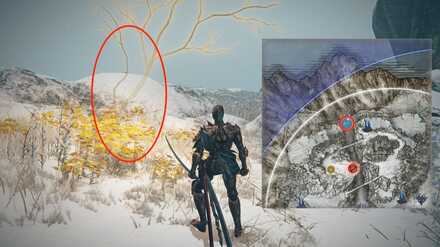 黄金の萌芽の場所