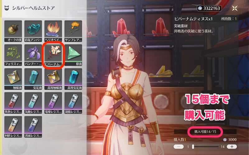 シルバーヘルムストア15個