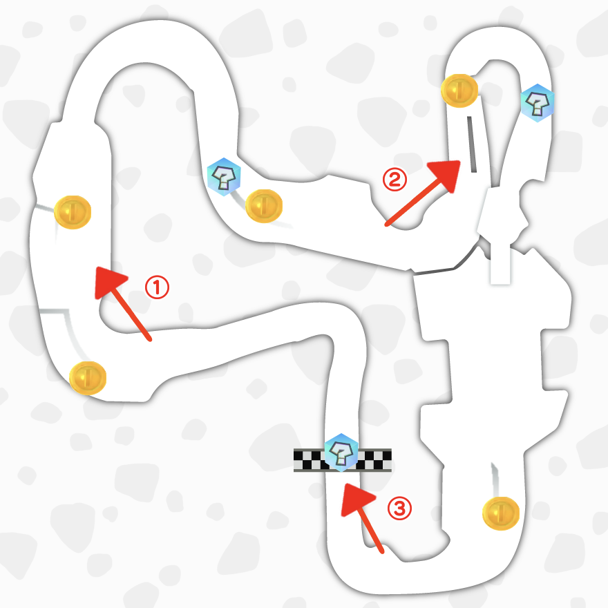 トゲゾーラリー6