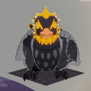 ヒクイドリ画像