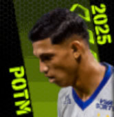 TPエリキプルガ(06/12)画像