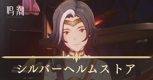 シルバーヘルムストア