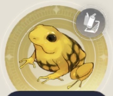 ヤクトルフロッグの画像