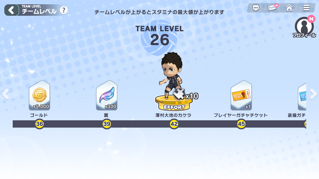 チームレベルの上げ方