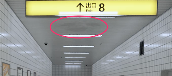 真下より遠くから