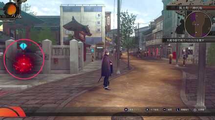 「ザクロ」を祓えの発生場所見た目