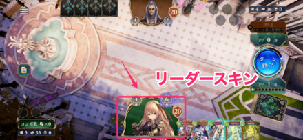 リーダースキン