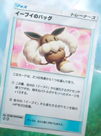 イーブイバッグ