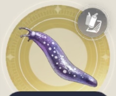 ホシゾラナメクジの画像