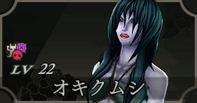 オキクムシ画像