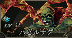 パピルサグ画像