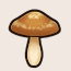 キノコ画像