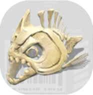 ギガギョコツ画像