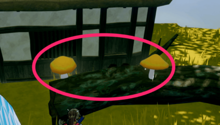 キノコの見た目