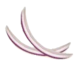 オニオンのアイコン